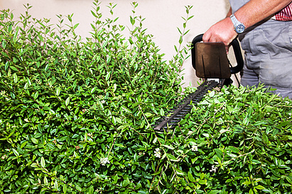 Fotolia_42926593_Subscription_Monthly_XXL__1_