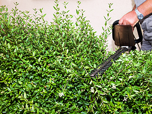 Fotolia_42926593_Subscription_Monthly_XXL__1_